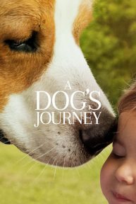 Imaginea A Dog's Journey